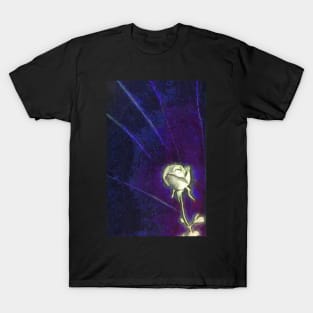 Glow of the Rose T-Shirt